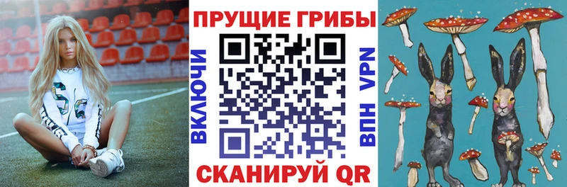 KRAKEN ссылки  Дзержинский  Галлюциногенные грибы мухоморы  как найти закладки 